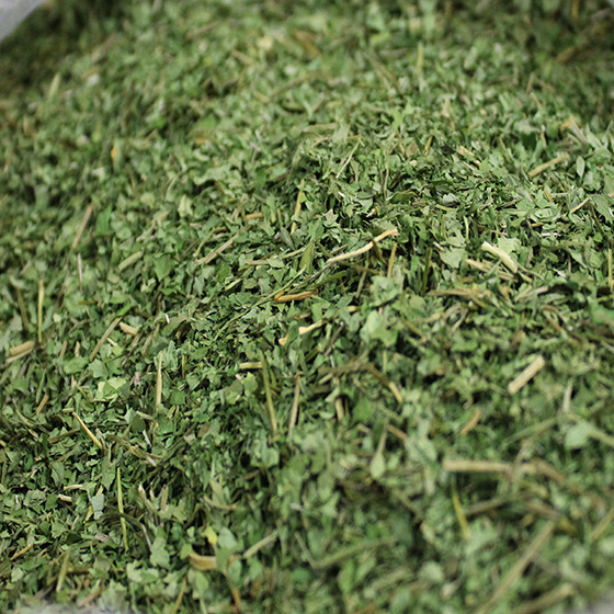 جعفری خشک